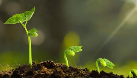 土壤調查 土壤調查